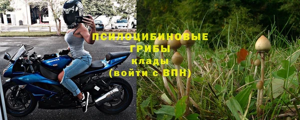 PSILOCYBIN Балахна