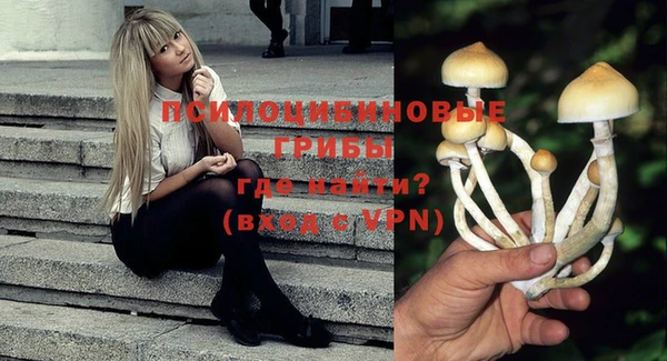 гашик Балабаново