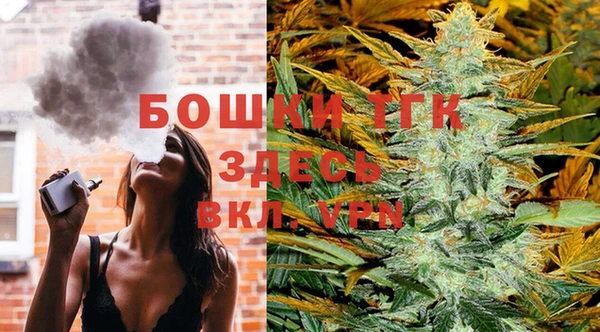 PSILOCYBIN Балахна