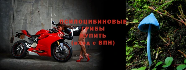 эйфоретик Беломорск