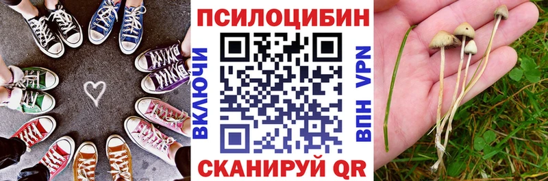 маркетплейс официальный сайт блэк спрут зеркало Туймазы Псилоцибиновые грибы мицелий